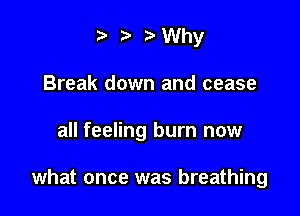 t) 3. Why
Break down and cease

all feeling burn now

what once was breathing