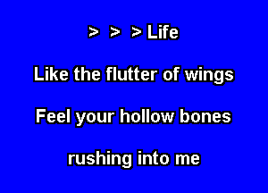?) 3' Life

Like the flutter of wings

Feel your hollow bones

rushing into me