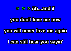r) bAh...and if

you don't love me now

you will never love me again

I can still hear you sayin'