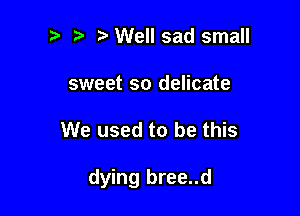 ? '5' Well sad small

sweet so delicate

We used to be this

dying bree..d