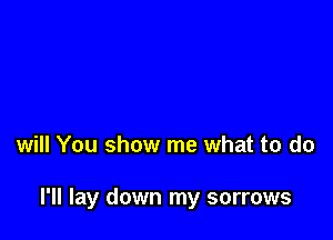 will You show me what to do

I'll lay down my sorrows