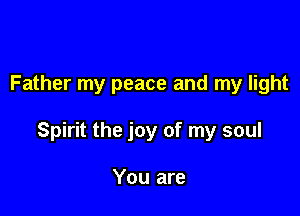 Father my peace and my light

Spirit the joy of my soul

You are