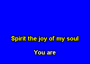 Spirit the joy of my soul

You are