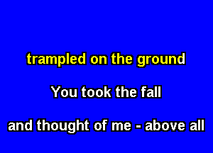 trampled on the ground

You took the fall

and thought of me - above all