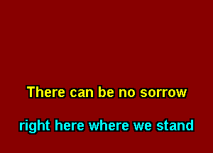 There can be no sorrow

right here where we stand