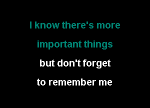 I know there's more

important things

but don't forget

to remember me