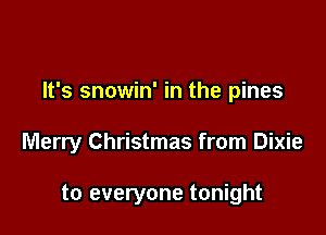 It's snowin' in the pines

Merry Christmas from Dixie

to everyone tonight