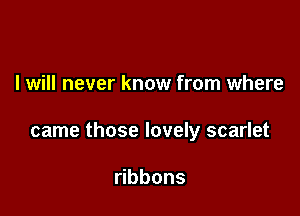 I will never know from where

came those lovely scarlet

bbons