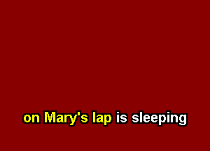 on Mary's lap is sleeping