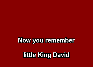 Now you remember

little King David