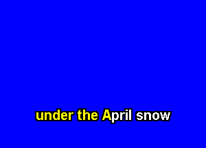 under the April snow