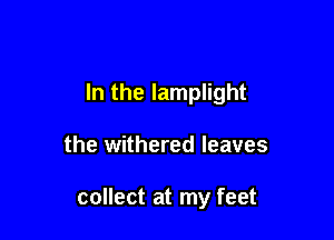 In the lamplight

the withered leaves

collect at my feet
