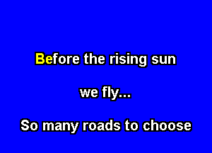 Before the rising sun

we fly...

So many roads to choose