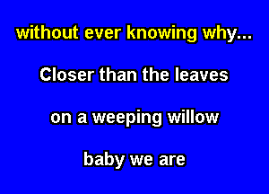 without ever knowing why...

Closer than the leaves
on a weeping willow

baby we are