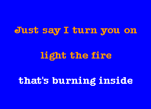 Just say I turn you on
light the fire

that's burning inside