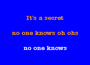 It's a secret

no one knows oh ohs

no one knows