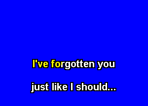 I've forgotten you

just like I should...