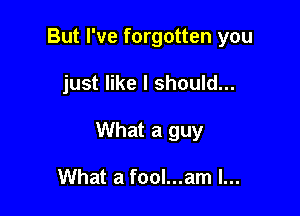 But I've forgotten you

just like I should...

What a guy

What a fool...am l...