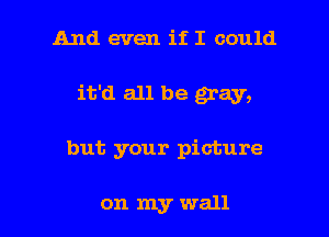 And even if I could
it'd all be gray,

but your picture

on my wall I