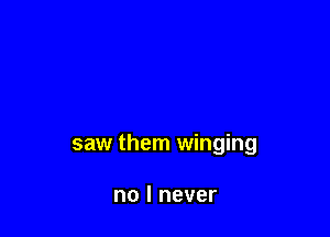saw them winging

no I never