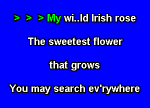 i) t. My wi..ld Irish rose
The sweetest flower

that grows

You may search ev'rywhere