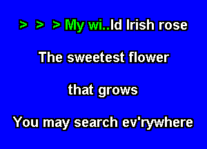 i) t. My wi..ld Irish rose
The sweetest flower

that grows

You may search ev'rywhere
