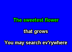 The sweetest flower

that grows

You may search ev'rywhere