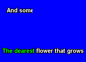 The dearest flower that grows
