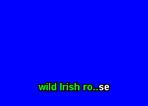 wild Irish ro..se