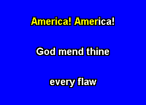 America! America!

God mend thine

every flaw