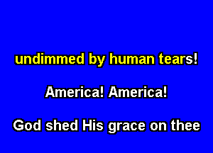 undimmed by human tears!

America! America!

God shed His grace on thee