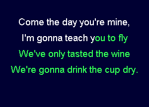 Come the day you're mine,
I'm gonna teach you to fly
We've only tasted the wine

We're gonna drink the cup dry.