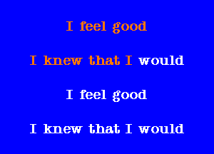 I feel good
I knew that. I would
I feel good

I knew that I would