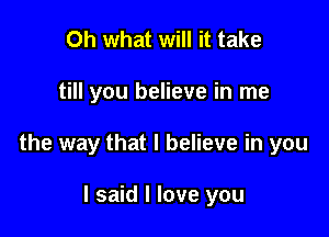 Oh what will it take

till you believe in me

the way that I believe in you

I said I love you