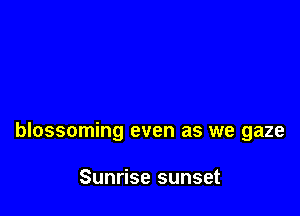 blossoming even as we gaze

Sunrise sunset