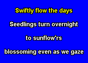 Swiftly flow the days
Seedlings turn overnight

to sunflow'rs

blossoming even as we gaze