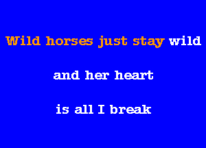 Wild horsa just stay wild
and her heart

is all I break