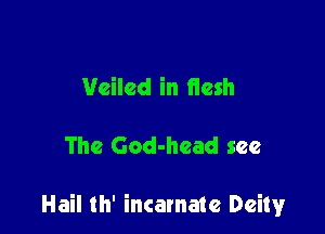 Veiled in flesh

The God-head see

Hail th' incarnate Deity