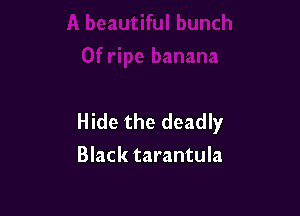 Hide the deadly
Black tarantula