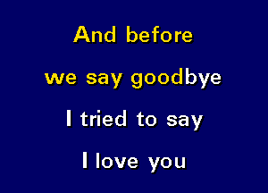 And before

we say goodbye

I tried to say

I love you