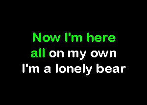 Now I'm here

all on my own
I'm a lonely bear