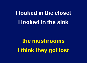 I looked in the closet

I looked in the sink

the mushrooms
lthink they got lost