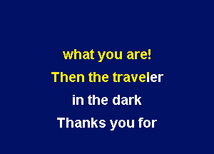 How I wonder

what you are!

Then the traveler
in the dark
