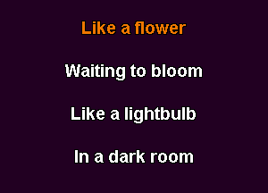 Like a flower

Waiting to bloom

Like a lightbulb

In a dark room