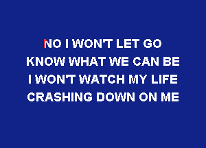 NO I WON'T LET GO
KNOW WHAT WE CAN BE
I WON'T WATCH MY LIFE
CRASHING DOWN ON ME