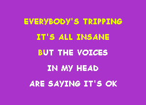 EVERYBODV'S TRIPPING
IT'S ALL INSANE

BUT THE VOICES
IN My HEAD
ARE SAYING IT'S OK
