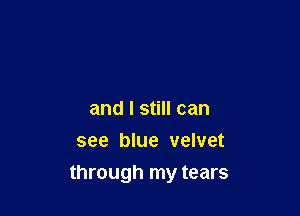 and I still can
see blue velvet

through my tears
