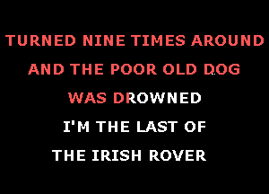 TURNED NINE TIMES AROUND
AND THE POOR OLD DOG
WAS DROWNED
I'M THE LAST OF
THE IRISH ROVER