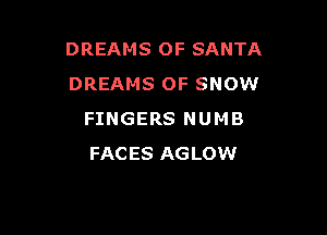 DREAMS OF SANTA
DREAMS OF SNOW

FINGERS NUMB
FACES AGLOW