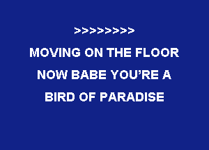 t888w'i'bb

MOVING ON THE FLOOR
NOW BABE YOURE A

BIRD 0F PARADISE